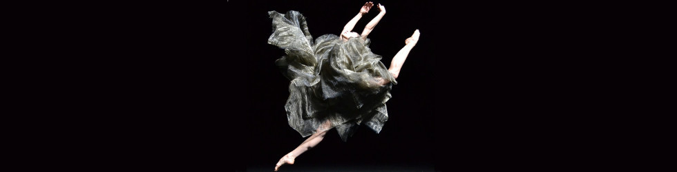 A.I.D.A. – An International Dance Agency